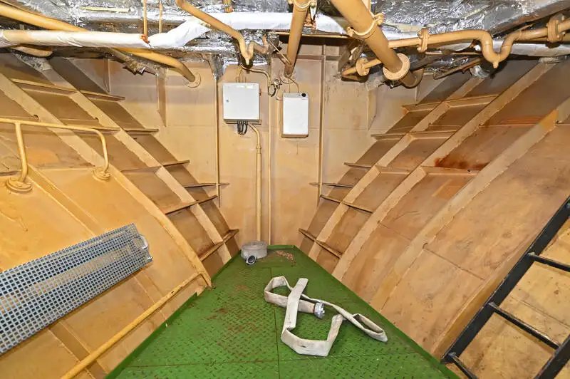 Cruise ship for sale
