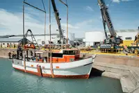 Trawler for sale