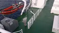 Ro-Ro ship for sale