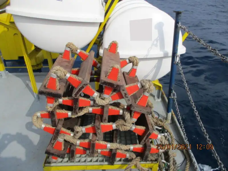 Reefer ship for sale