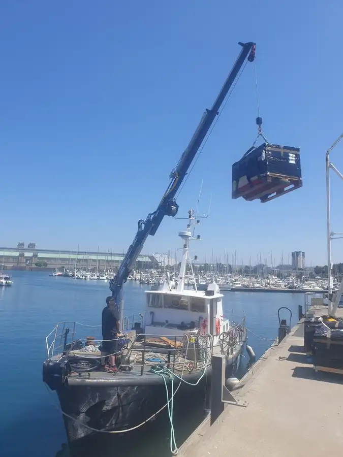 Workboats for sale
