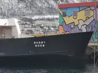 Ro-Ro ship for sale