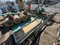 Trawler for sale