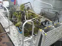 Dive support for sale