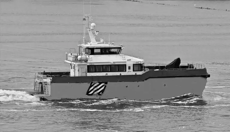 Catamaran for sale