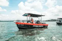 Cruise ship for sale