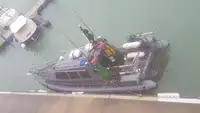 Survey vessel for sale