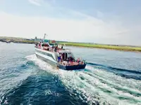 Cruise ship for sale