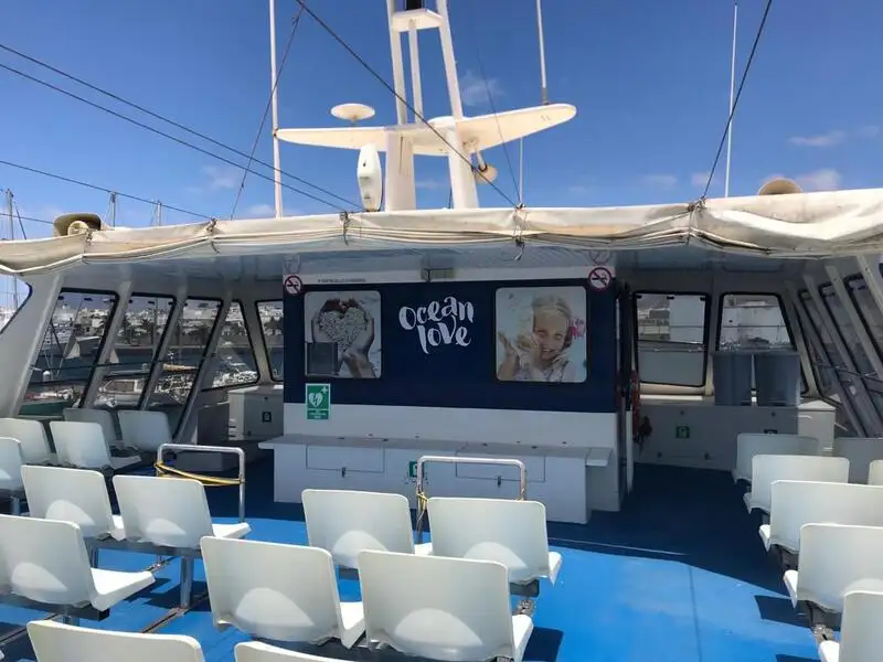 Catamaran for sale