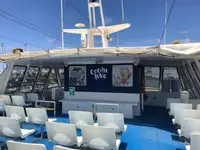 Catamaran for sale