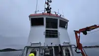Towboat for sale