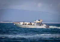 Rigid inflatable boat for sale