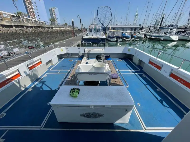 Catamaran for sale