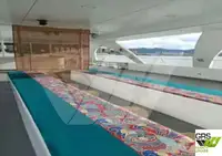 Cruise ship for sale