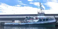 Towboat for sale