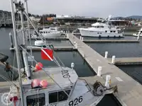 Lifeboat for sale