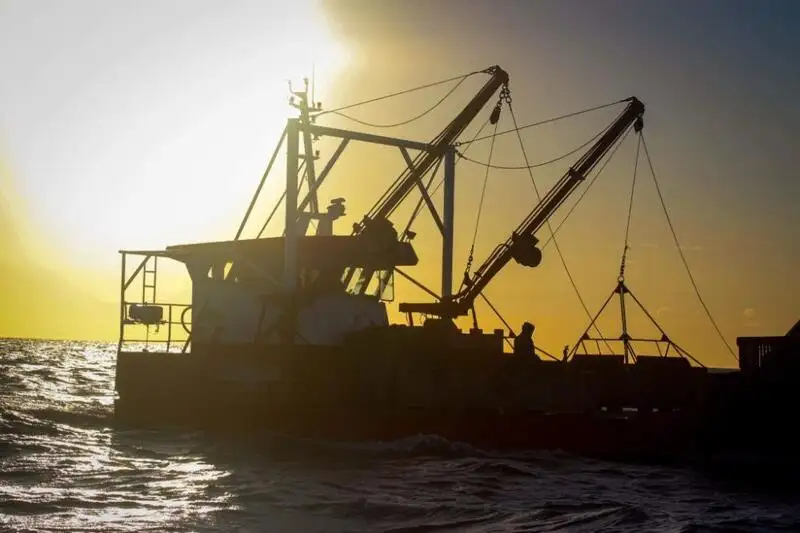 Workboats for sale
