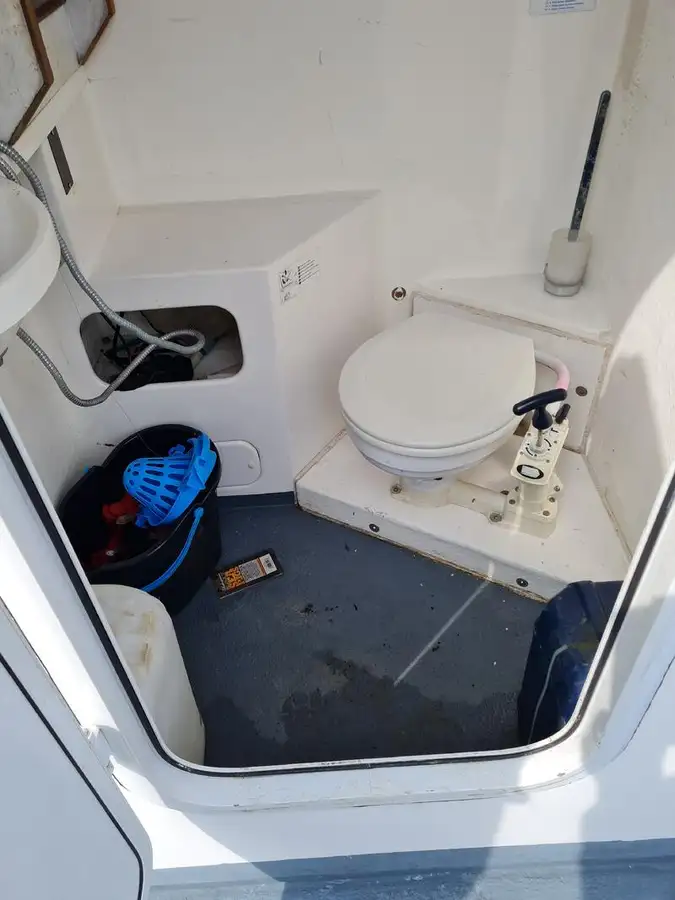 Catamaran for sale