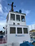 Towboat for sale