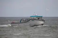 Cruise ship for sale