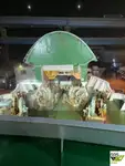 Ro-Ro ship for sale