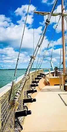 Cruise ship for sale