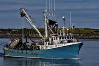 Purse seiner for sale