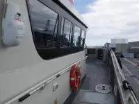 Catamaran for sale