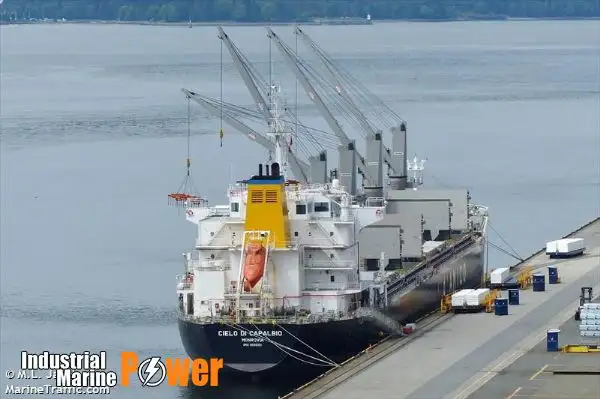 Bulk carrier for sale