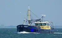 Beam trawler for sale