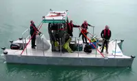 Dive support for sale