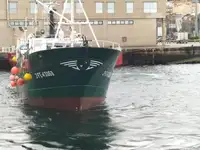 Trawler for sale
