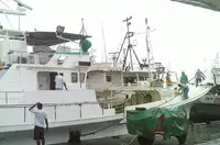 Longliner for sale