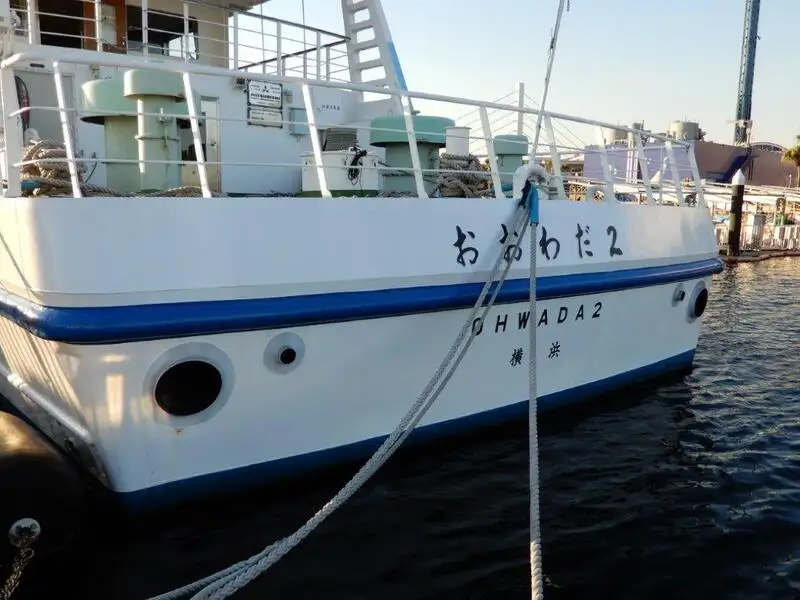 Cruise ship for sale