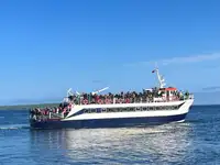 Cruise ship for sale