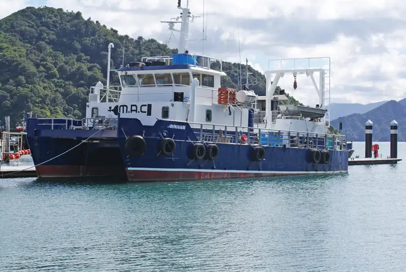 Cruise ship for sale