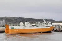 Ro-Ro ship for sale