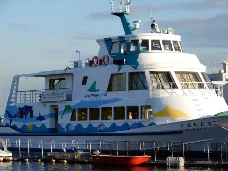 Cruise ship for sale