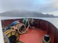 Towboat for sale