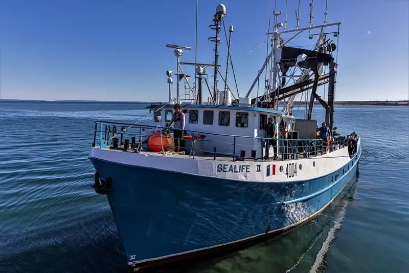 Purse seiner for sale