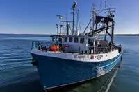 Purse seiner for sale