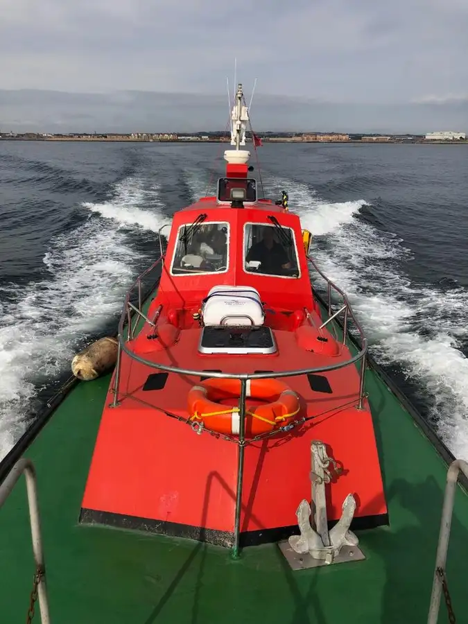 Pilot boat for sale
