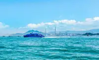 Cruise ship for sale