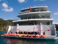 Catamaran for sale