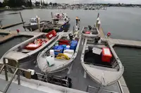 Trawler for sale