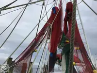 Trawler for sale