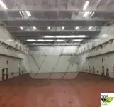 Ro-Ro ship for sale
