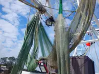 Trawler for sale