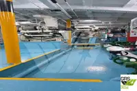 Ro-Ro ship for sale