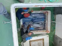 Trawler for sale